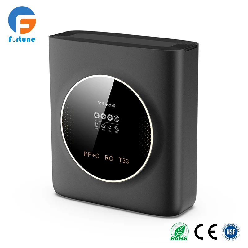 Compact RO Water Filter