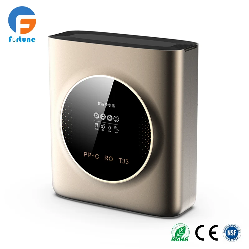 Compact RO Water Filter